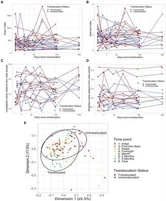 The koala gut microbiome is largely unaffected by host translocation but rather influences host diet